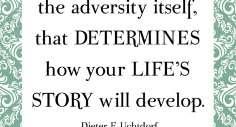 Your reaction to adversity